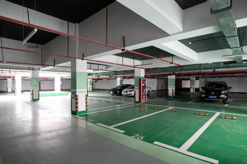 柯城篇 系統(tǒng)集成與數(shù)字賦能——精準(zhǔn)供需深度打造“五化”文化場館